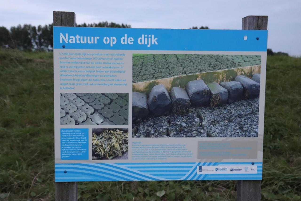 Strandhut 64 Sint Annaland Exteriör bild